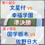 秋季栃木県高校野球準決勝　勝てば関東大会　文星付VS幸福学園、国学栃木…