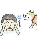 犬とすれ違いパニックに　「飼い主に知ってほしい」恐怖症