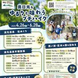 奥日光の自然をゆるりと満喫　週末中心にガイドツアー開催　初の“巨木の森…