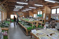 高林産直会　ＪＡなすの　地元産こだわる新鮮野菜