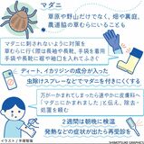 【人と社会と感染症　岡田教授のなるほど講座】（6）マダニ①ＳＦＴＳ　致死率高く要注意　かまれない対策が重要