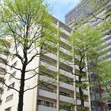 マンション建て替えに高い壁　仙台最古、著しい老朽化　建設時より規制厳しく...