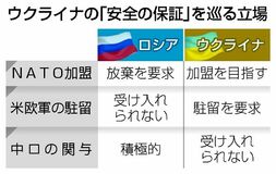 「安全の保証」露関与主張