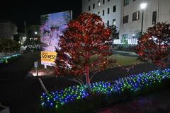 イルミの電飾の文字は?