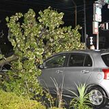 倒木が信号待ちの車を直撃　栃木・宇都宮環状線