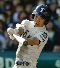 専大松戸など8強出そろう