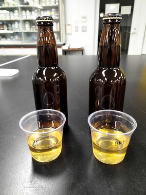 県とブルワリーが開発した「酒かすクラフトビール」
