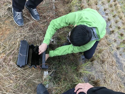 田んぼダムでは水田の排水桝に調整板を設置して貯留量をコントロールする（池田教授提供）