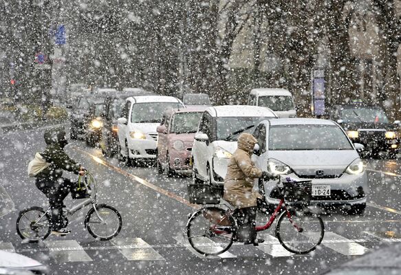 大粒の雪が降る県庁近くのシンボルロード＝13日午後３時20分、宇都宮市塙田１丁目