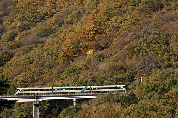 紅葉と特急リバティ