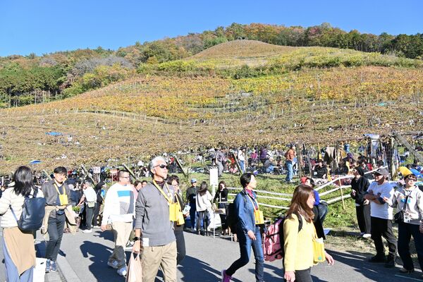 ２日間で約９５００人が訪れたココ・ファーム・ワイナリーの第４２回収穫祭＝１５日、足利市