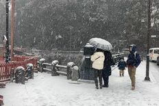 栃木県北部全域に大雪警報　那須塩原市と那須町、大田原市が災害警戒本部を…