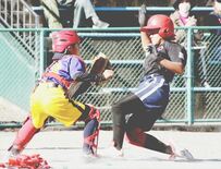 箒根、黒田原が決勝進出　ソフトボール県小学生女子新人大会