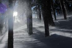 山で地震に遭ったらどうしますか？