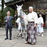 新たな神馬「晃白号」お披露目　日光東照宮で献進式　17日の百物揃千人武…