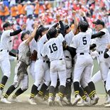 喜び、悔しさ…熱い思い忘れない　2024年、栃木県内スポーツ回顧