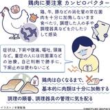 肉は十分加熱、調理も注意