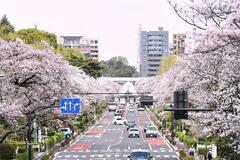 帰ってきた三角屋根 国立駅開業１００周年