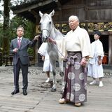 新たな神馬「晃白号」お披露目　日光東照宮で献進式　17日の百物揃千人武者行列にも参加