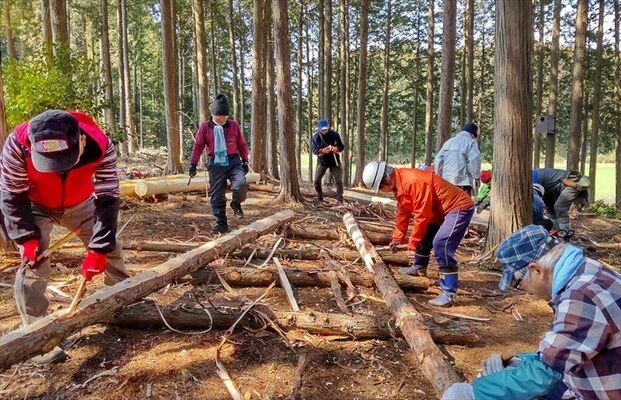 ヒノキの丸太の皮をむき、橋やベンチ改修の事前準備をする会員