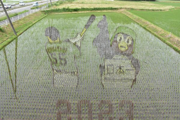 田んぼアートで描かれた村上選手とつば九郎