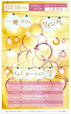 「一晩だけのワイン村＆イルミネーション点灯式」のチラシ