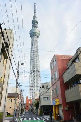 　東京スカイツリーの足元に広がる向島かいわい＝東京都墨田区
