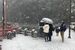 雪景色になった神橋周辺＝５日正午、日光市上鉢石町