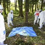 アフリカ豚熱を想定し防疫演習　国内未確認、発生すれば養豚へ甚大な被害も