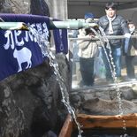 カピバラ長風呂対決に那須どうぶつ王国「こはる」が参戦　圧勝後に再度湯船…