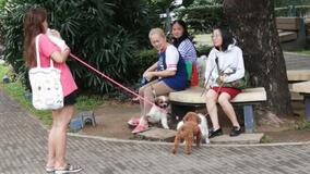 愛犬家が増える一方で高まる少子化の懸念、フィリピン