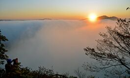 鎌倉山で雲海　茂木