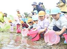 大きくなって また会おうね