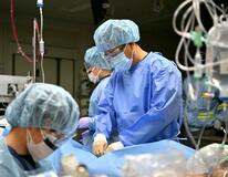 命守る「最後のとりで」