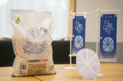 今年デビューのブランド米「白銀のひかり」をJAタウンで販売開始!大粒で食べ応えがある岩手県オリジナル品種