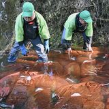 寒さ厳しく、そばは甘く　那須の道の駅、寒ざらしそばの仕込み作業　２月に提供