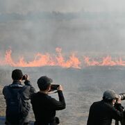 渡良瀬遊水地で春を呼ぶ風物詩「ヨシ焼き」　見物客2700人集まる