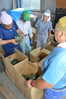 出荷前に状態を確認する部会員ら