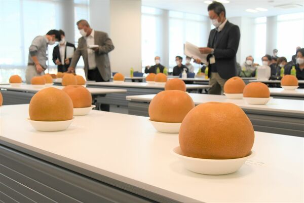 大玉コンテストに出品されたナシと審査する審査員