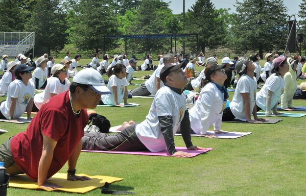 緑の天然芝の上でヨガを体験する参加者たち