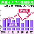 【詳報】栃木県産イチゴ販売額、過去最高を更新 出荷量ともに全国1位確実に 2026年産速報値