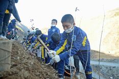 栃木ＳＣの小学生らが足尾で植樹　「緑増え元通りになってほしい」