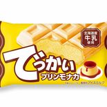 数量限定「でっかいプリンモナカ」をコンビニで発売　宇都宮・フタバ食品