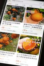農作物５０品種が流出可能性