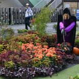 宇都宮の中心部で花巡り　15日まで「花と緑のウオークラリー」　歩いてよ…