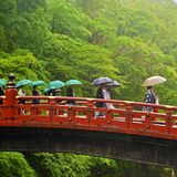 日光の世界遺産周辺で新緑深まる　霧がかり風情ある景色　花嫁姿、華やかに【動画】