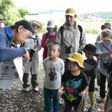 珍しい生き物にワクワク　龍城公園や蛇尾川で自然観察会　大田原