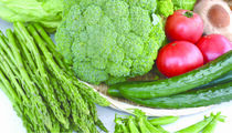 多彩でみずみずしい採れたて野菜なすのマルシェ