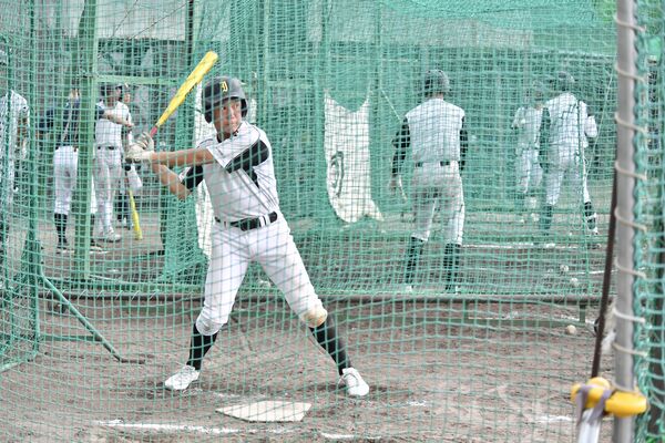 打撃練習に汗を流す石橋ナイン＝兵庫県尼崎市、尼崎小田高