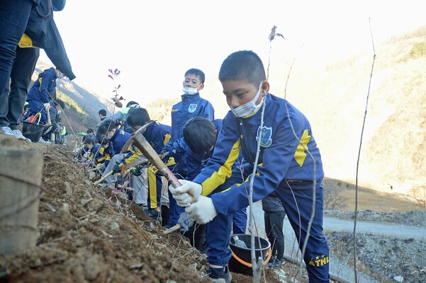 植樹活動に汗を流す栃木ＳＣアカデミーの選手たち